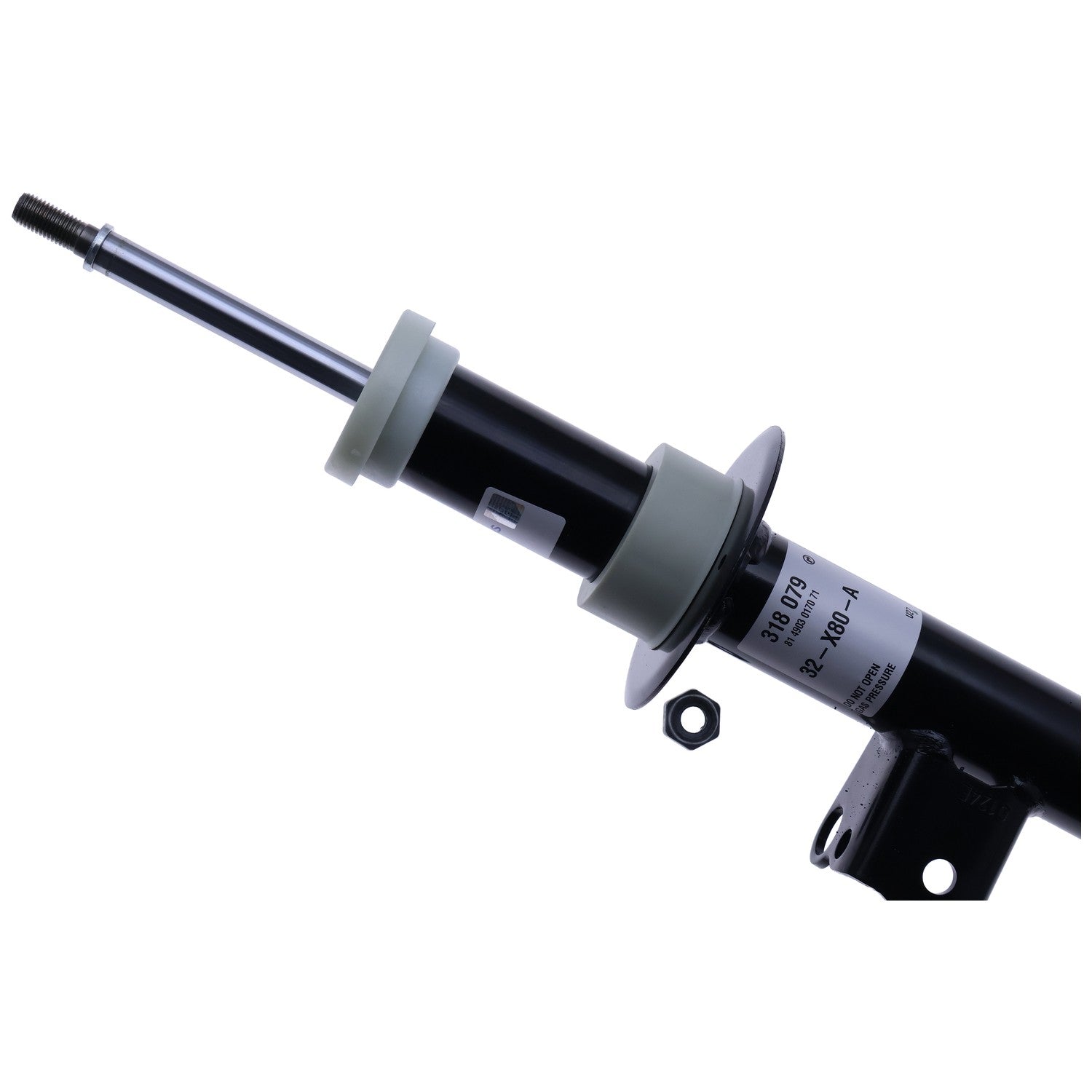 Sachs 318079 image 2