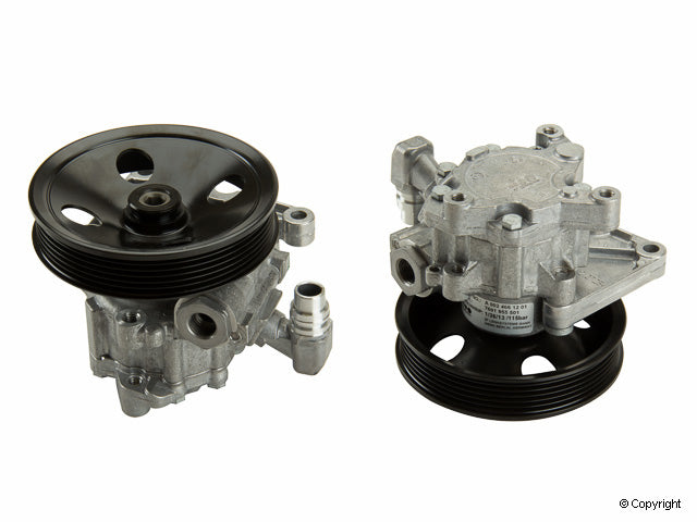 ZF Power Steering Pump