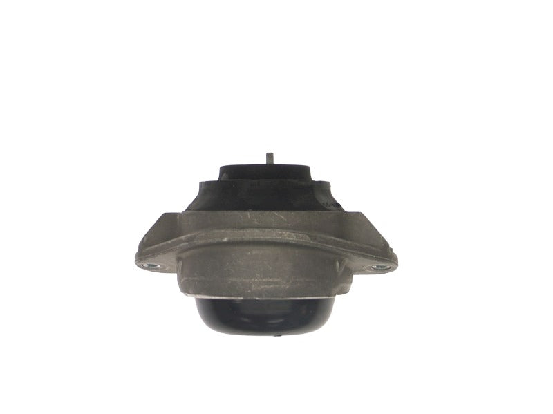 Sachs Shock Mount