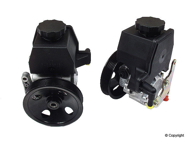 ZF Power Steering Pump
