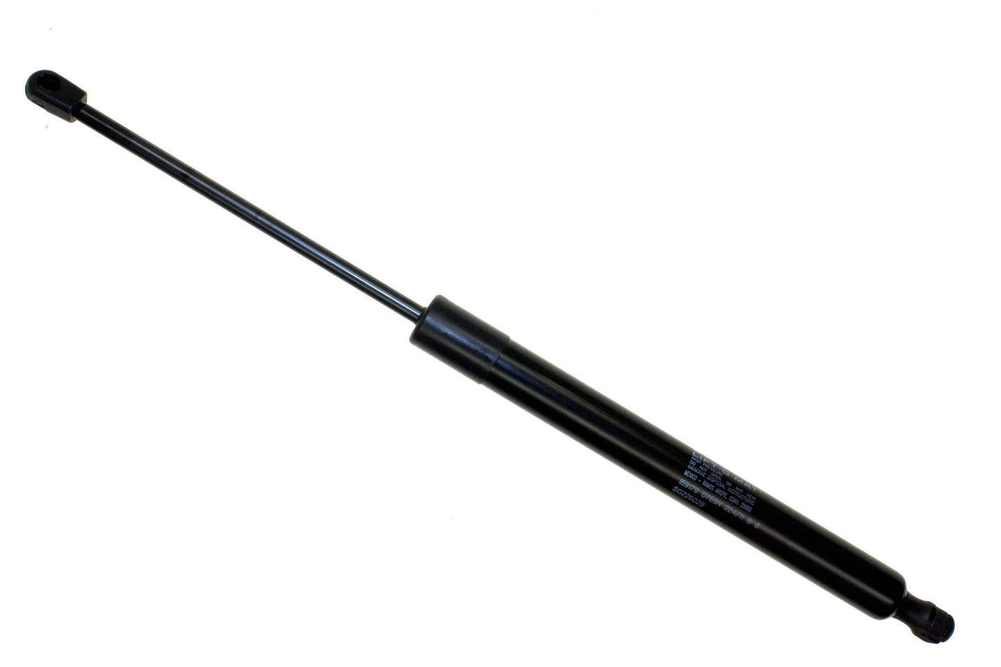 Sachs SG226029