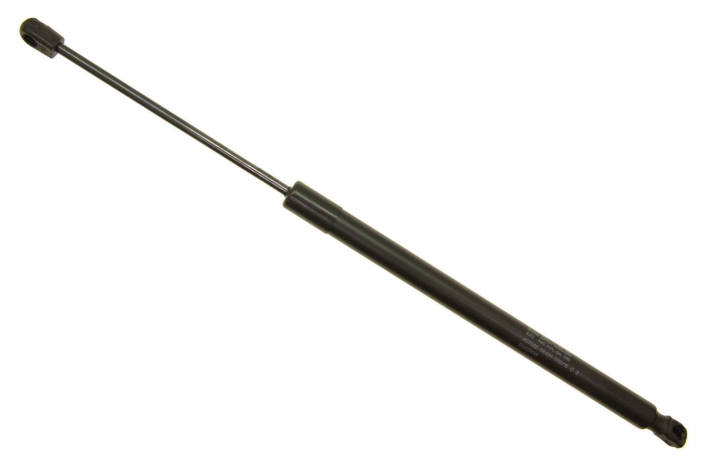 Sachs SG227013