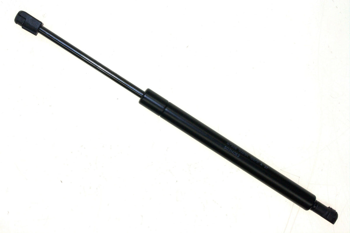 Sachs SG314063