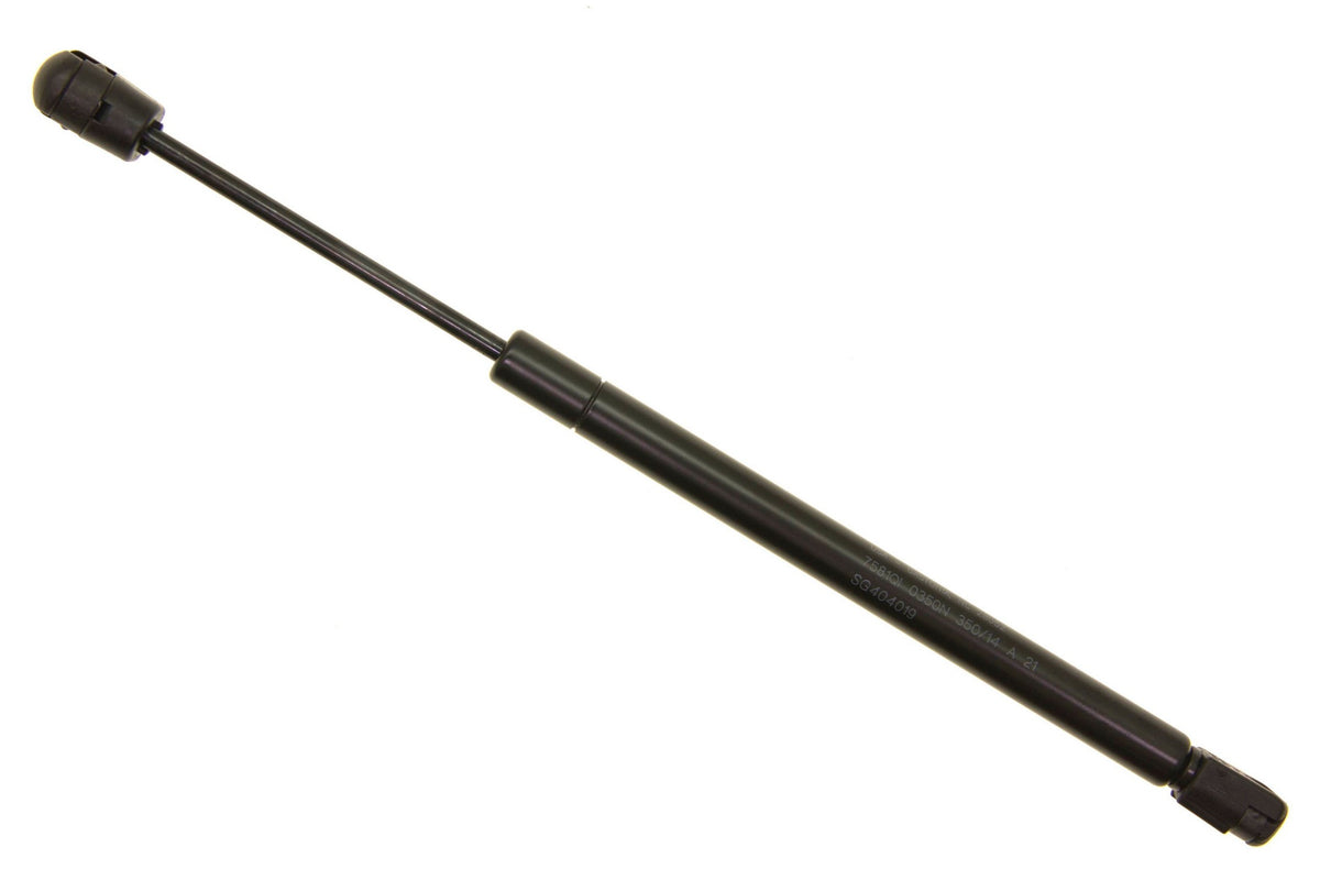 Sachs SG404019