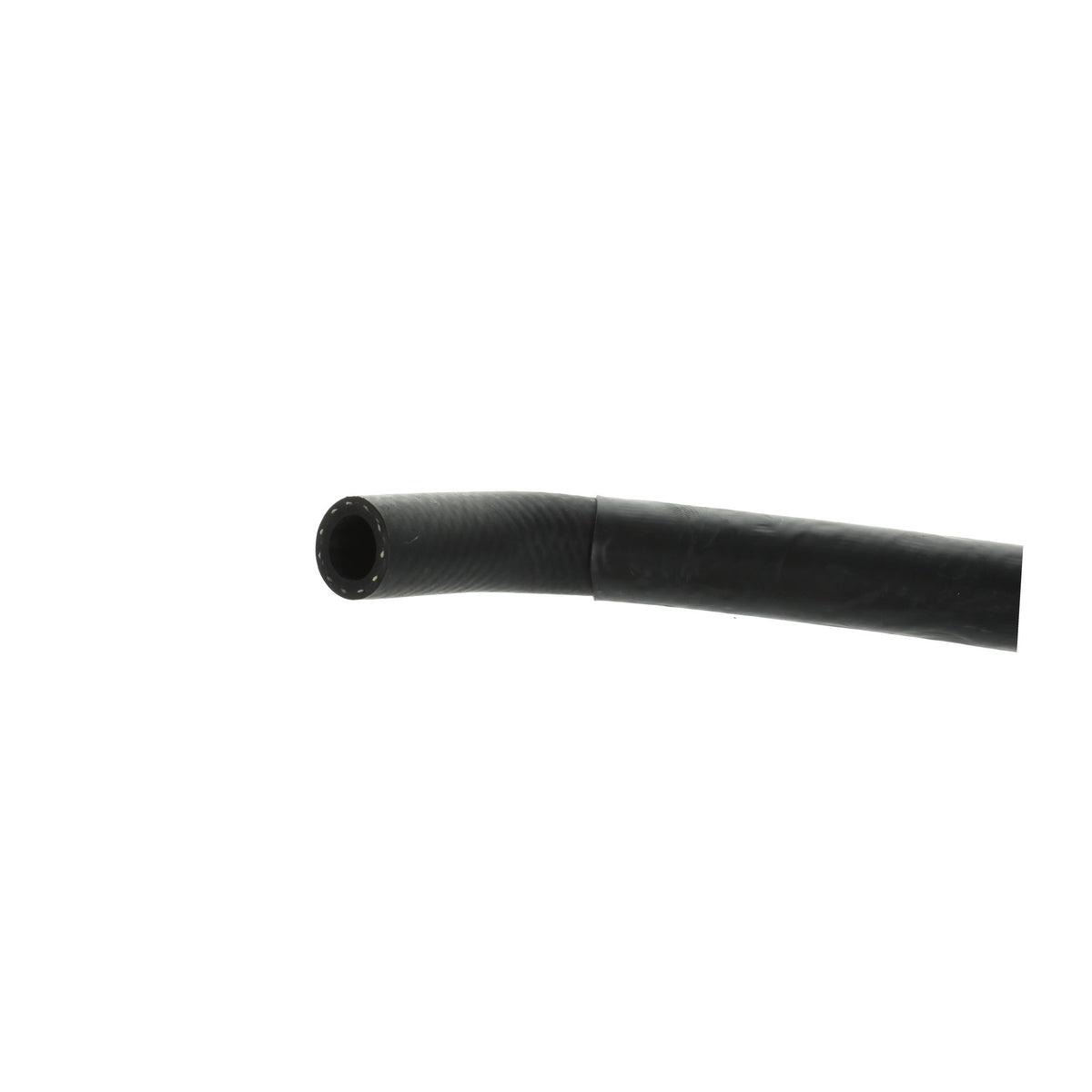 Sunsong 3405614