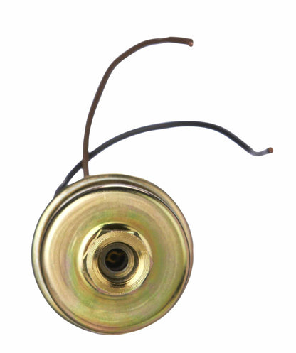 Spectra Premium Electric Fuel Pump  top view frsport SP1187