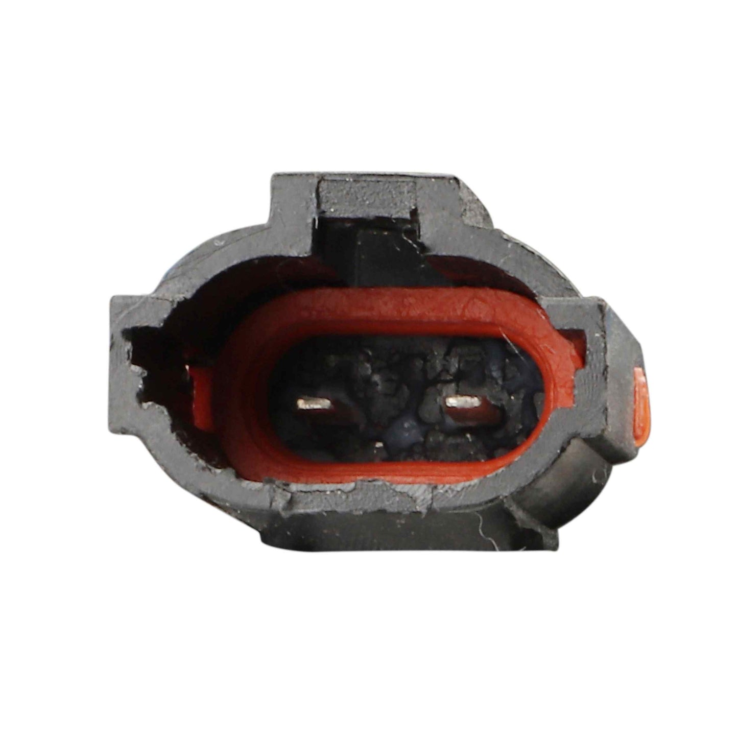 TrakMotive Motor de ventana elÃ©ctrica 22-0011