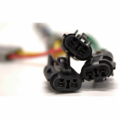 TrakMotive Motor de ventana elÃ©ctrica 22-0030