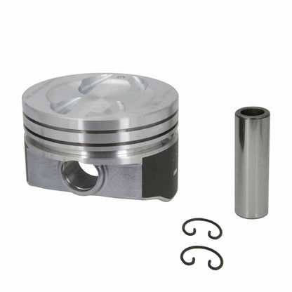 Sealed Power H699DCP20
