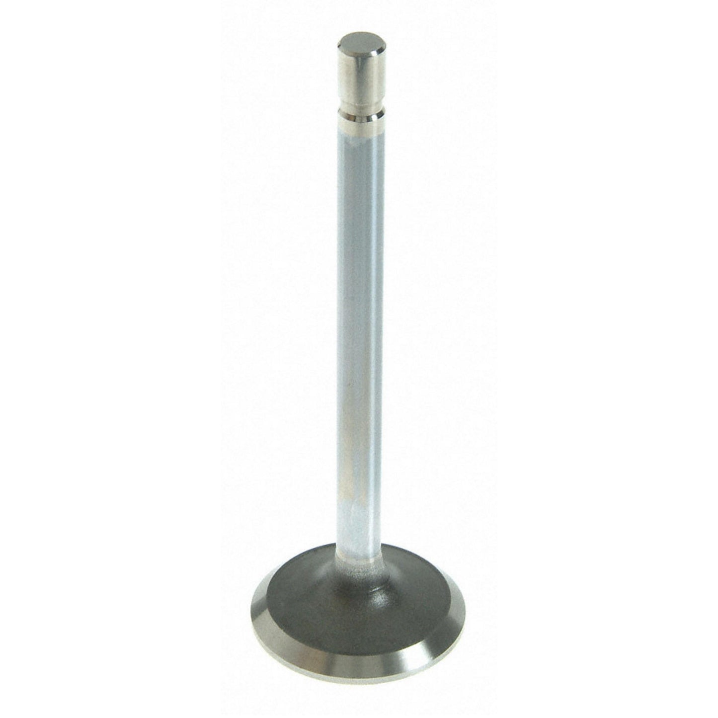 Sealed Power V-1849