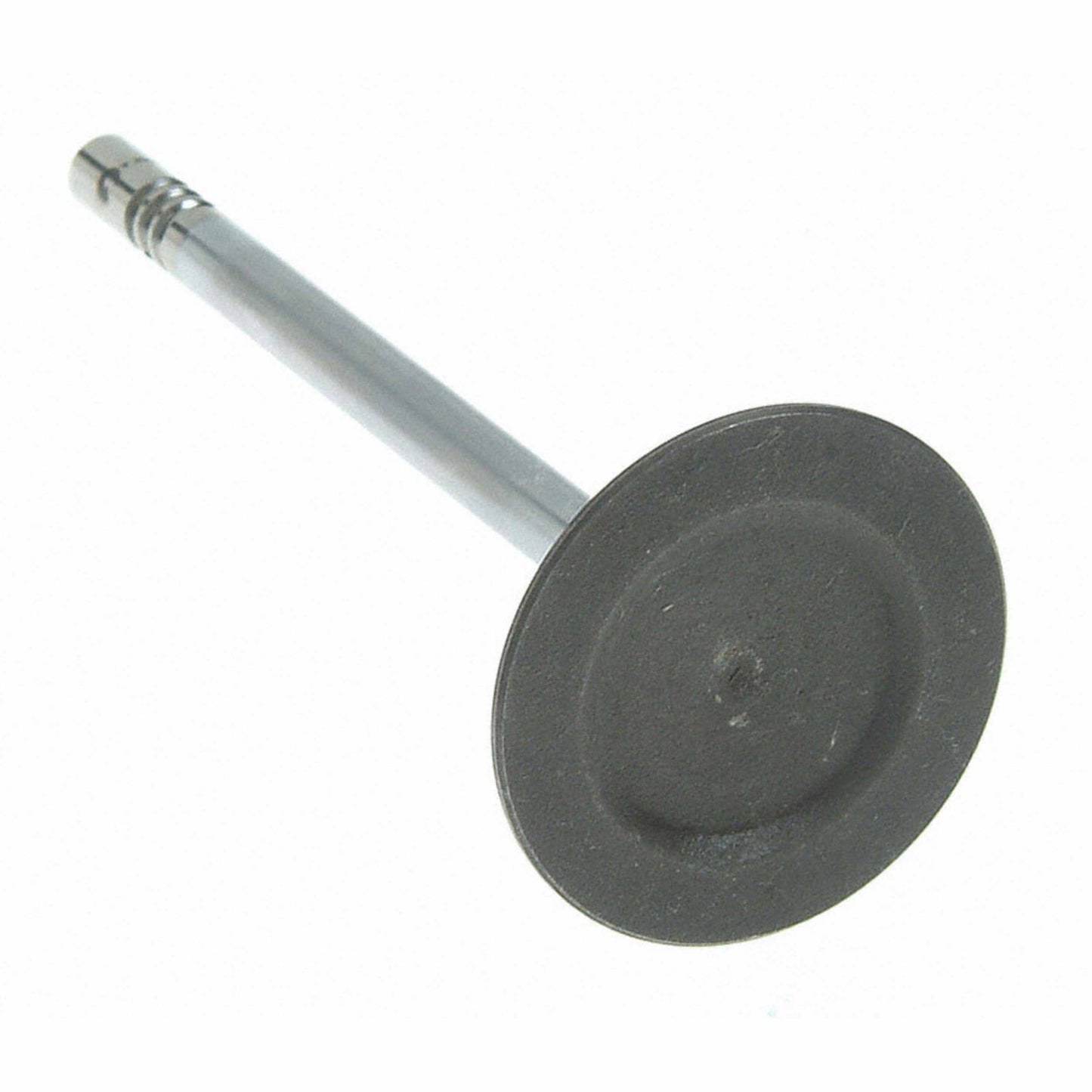 Sealed Power V-3956