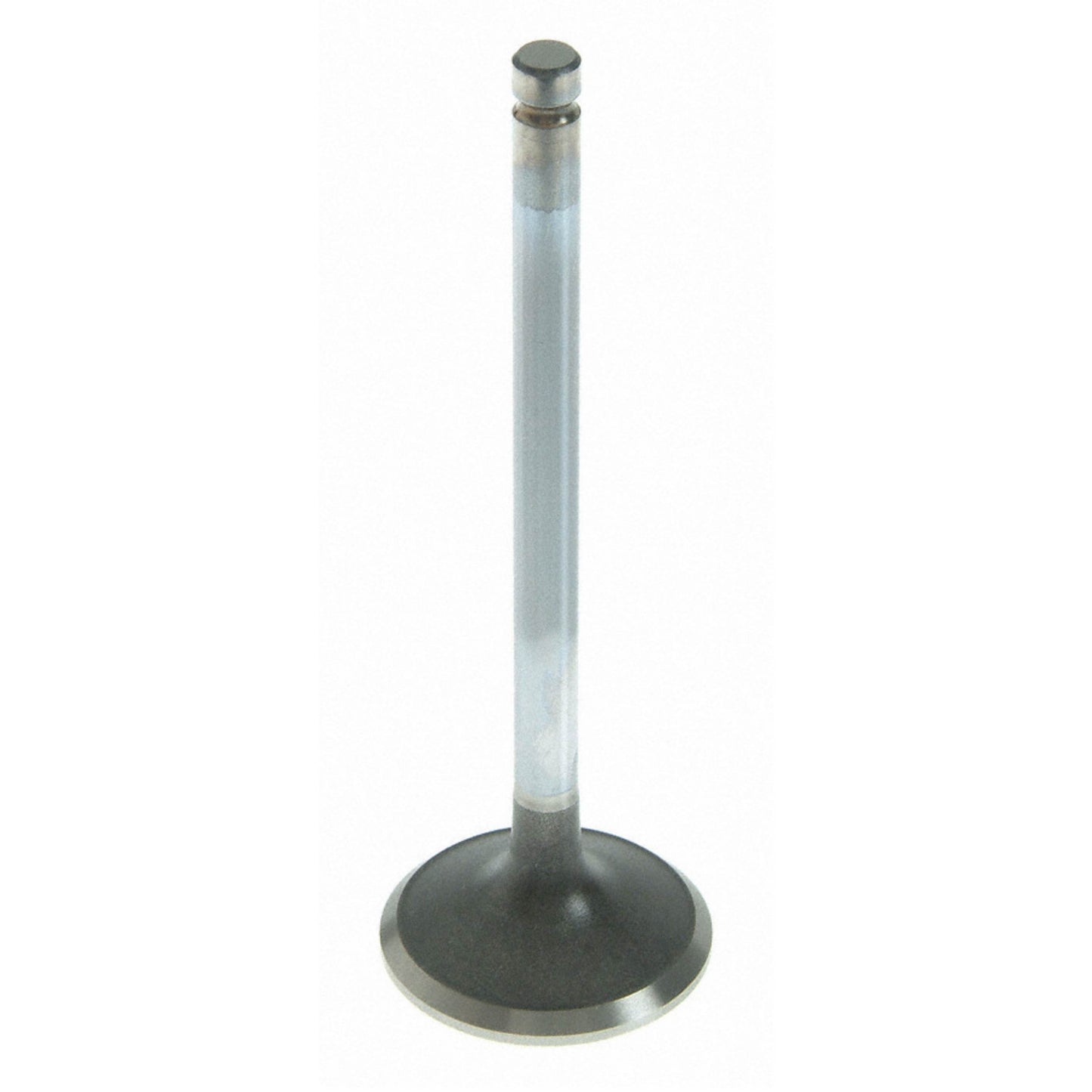 Sealed Power V-4384