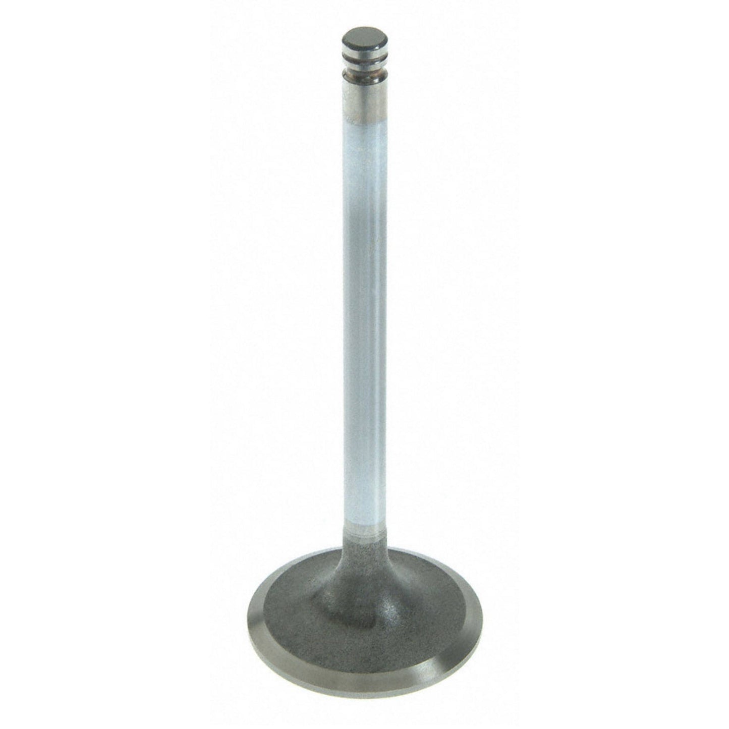 Sealed Power V-4385