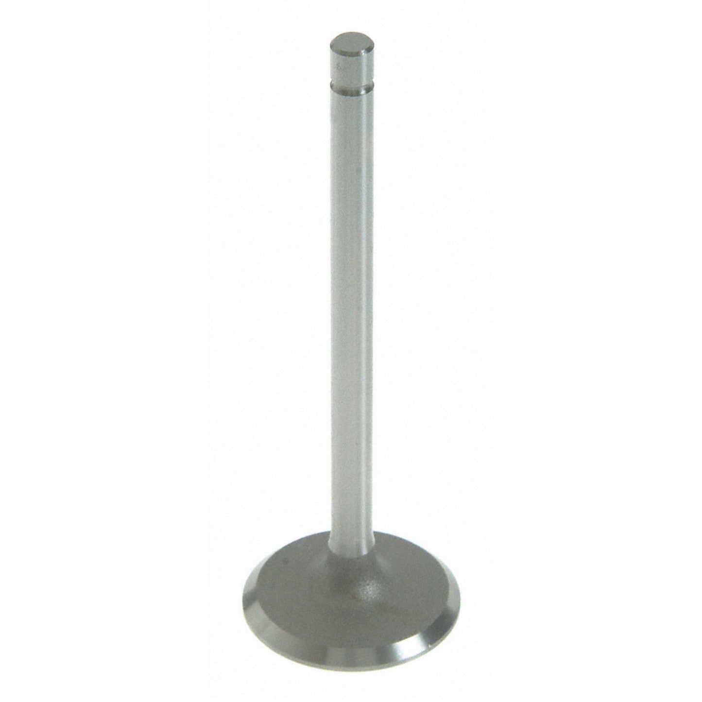 Sealed Power V-4490