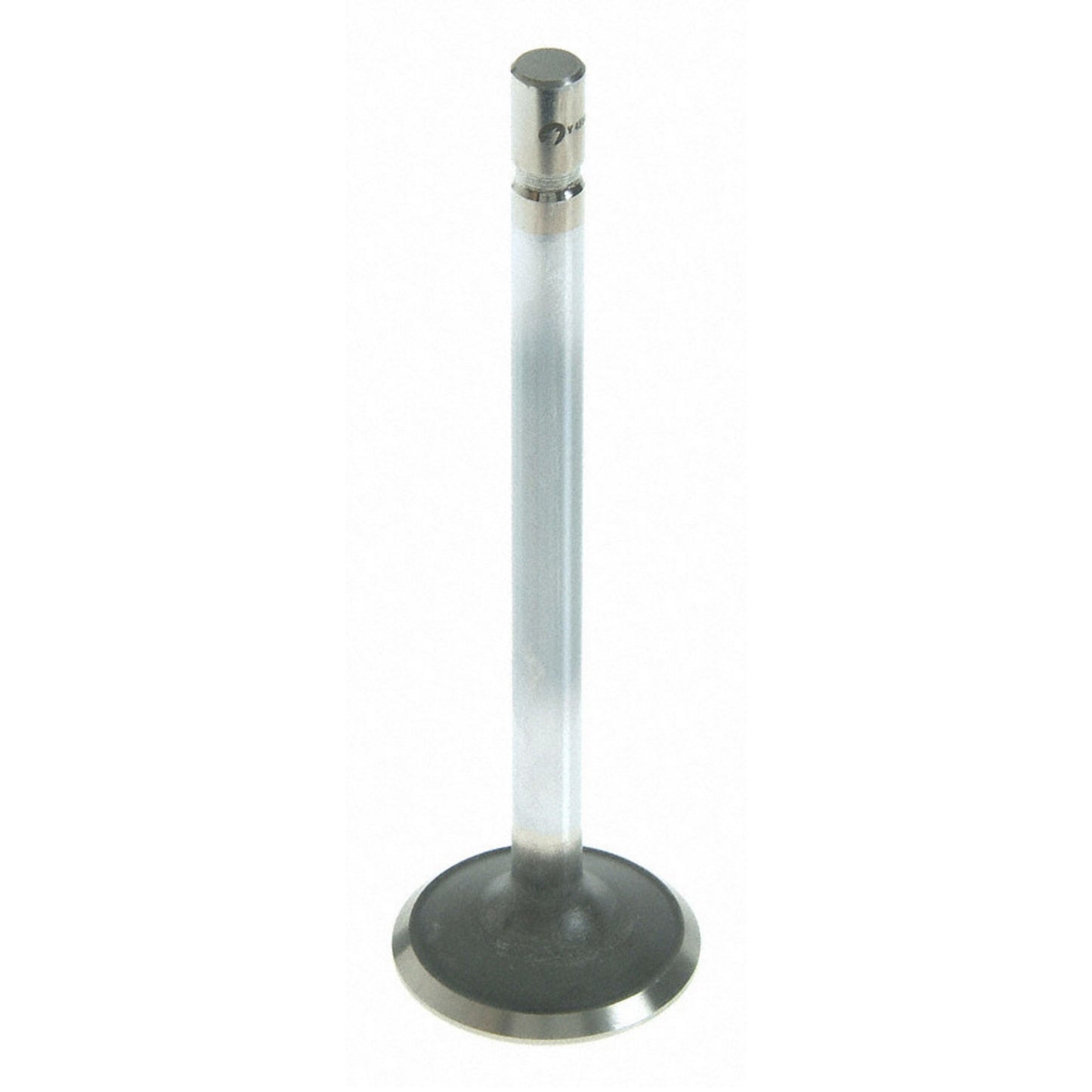 Sealed Power V-4555