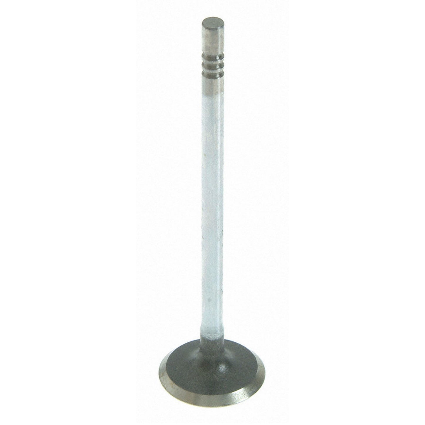 Sealed Power V-4556