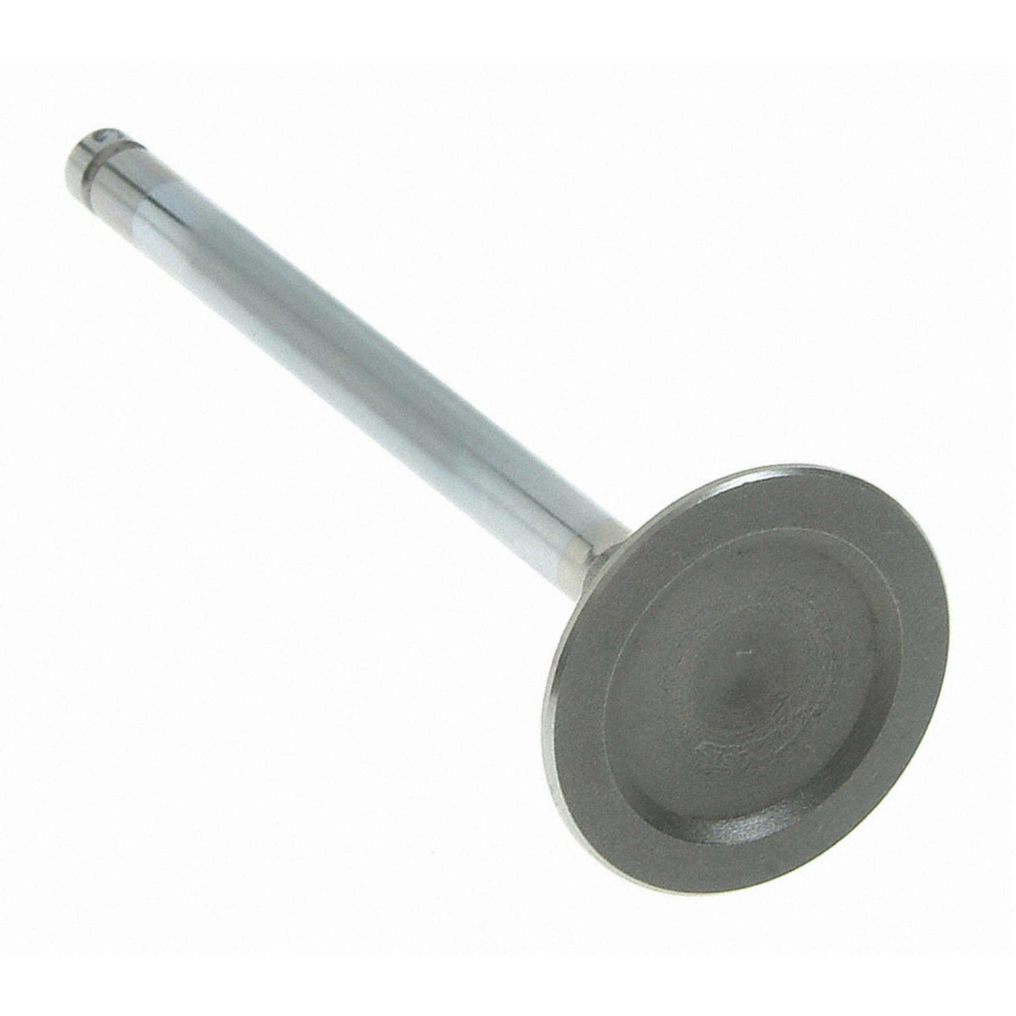 Sealed Power V-4557