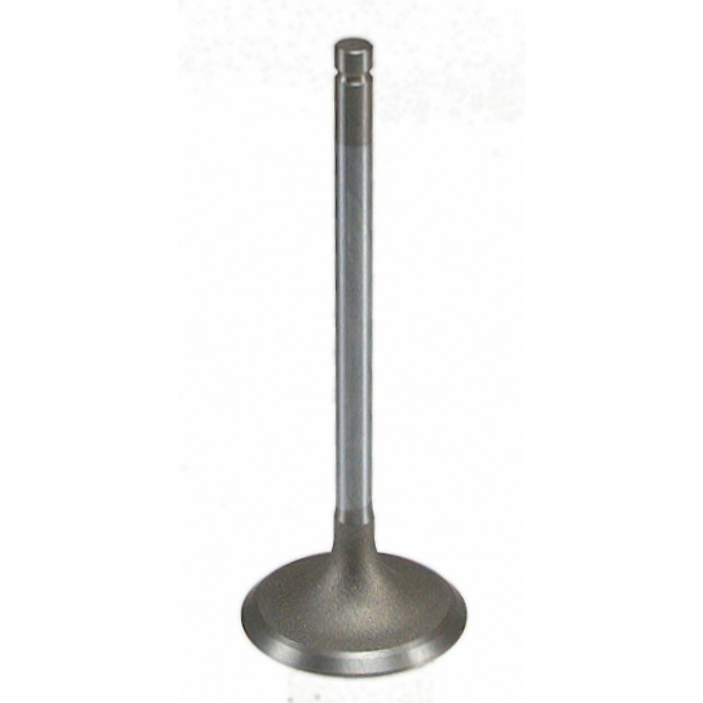 Sealed Power V-4629