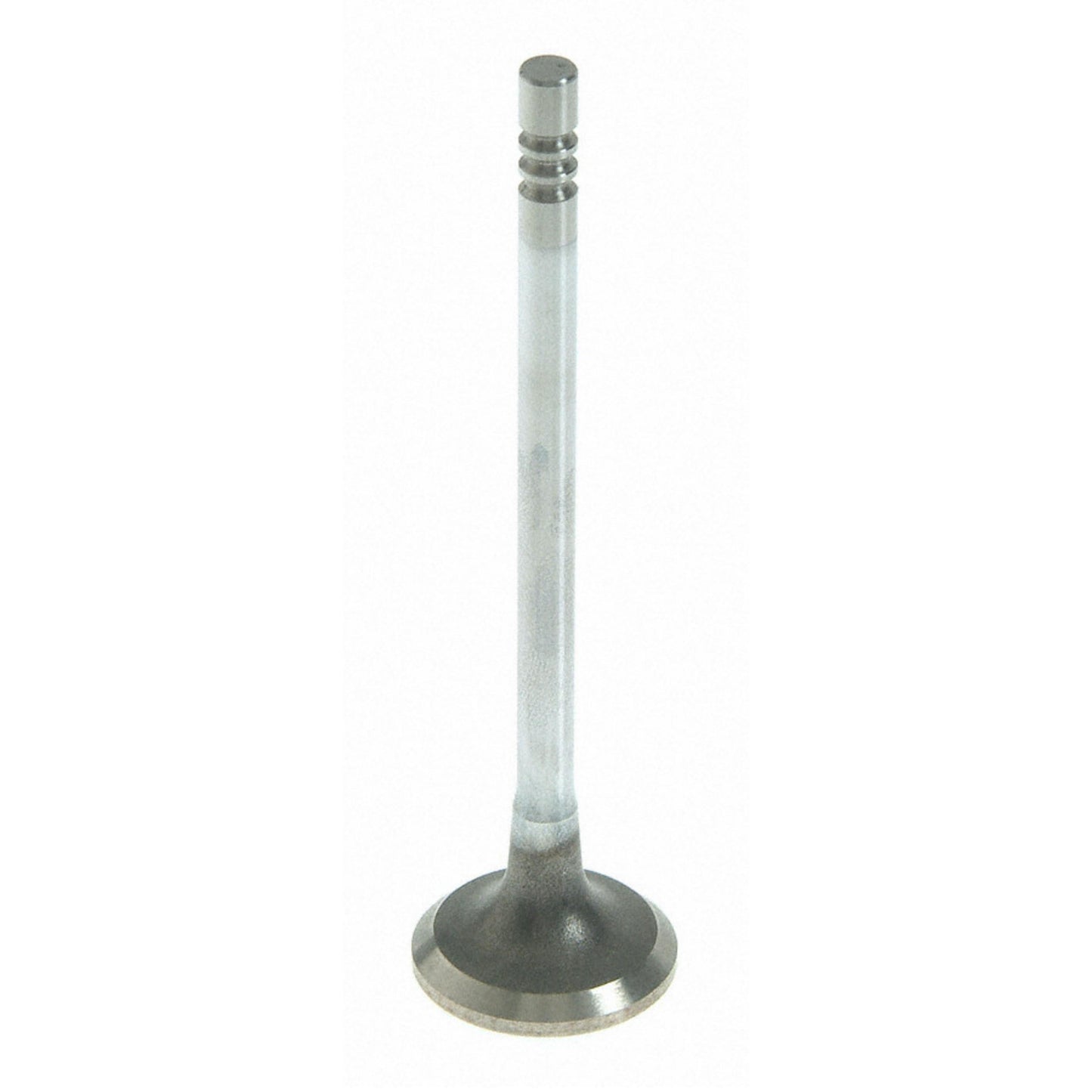 Sealed Power V-4648