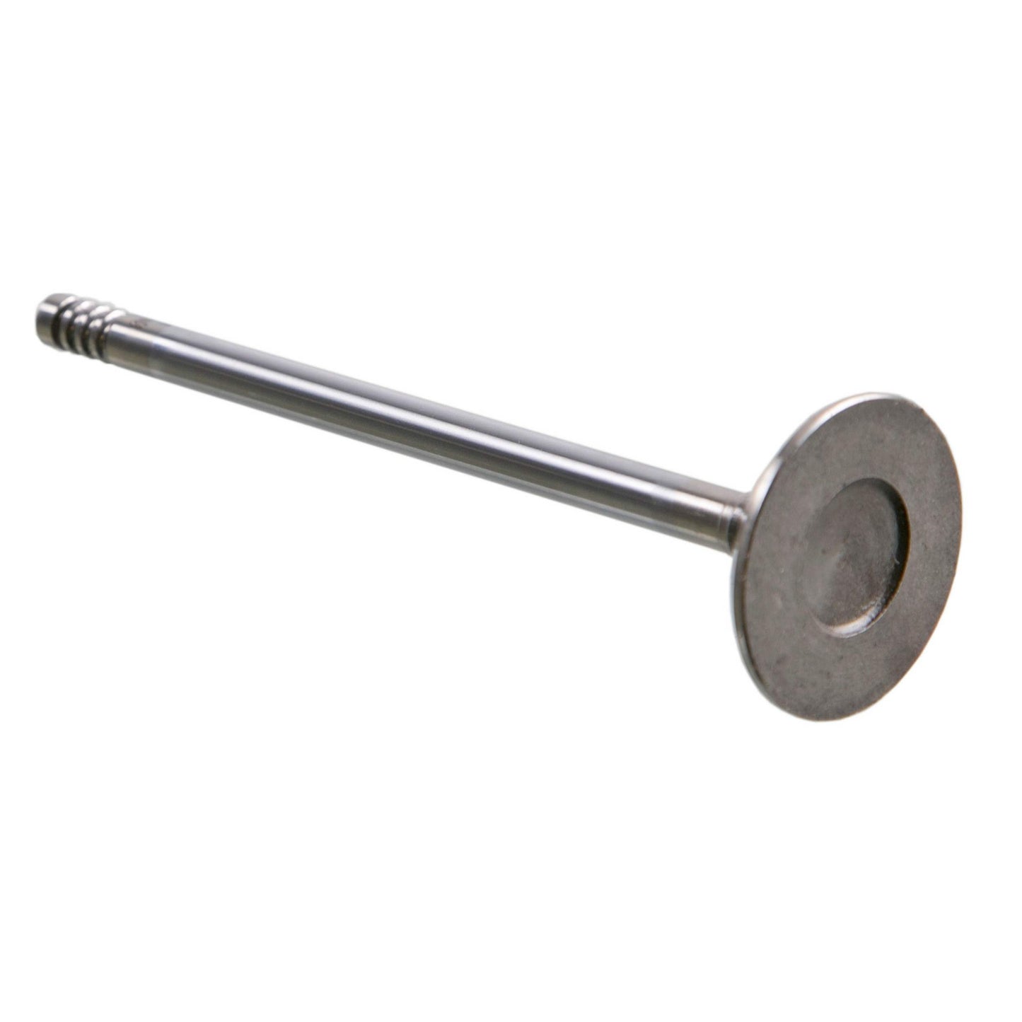 Sealed Power V-4684