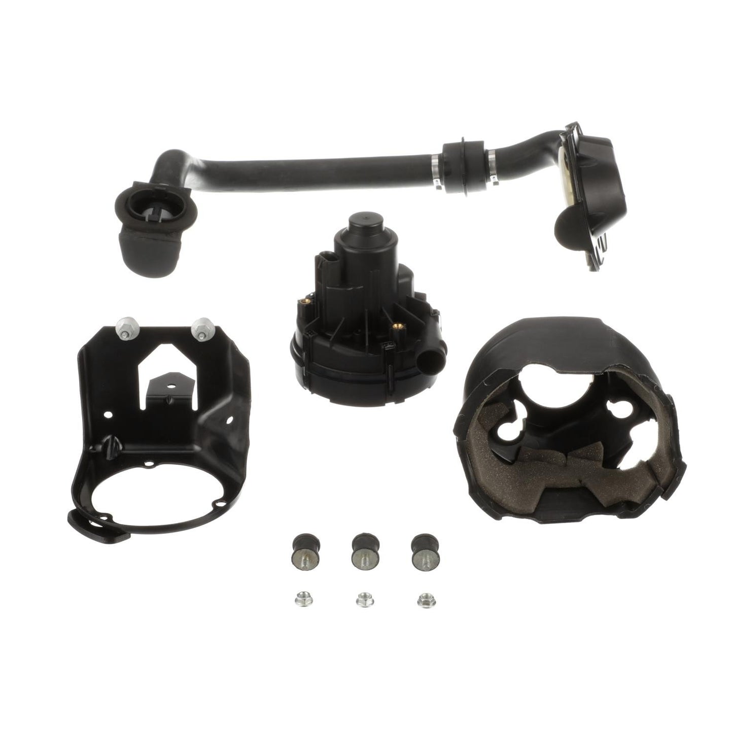 Standard Ignition Secondary Air Injection Pump AIP19