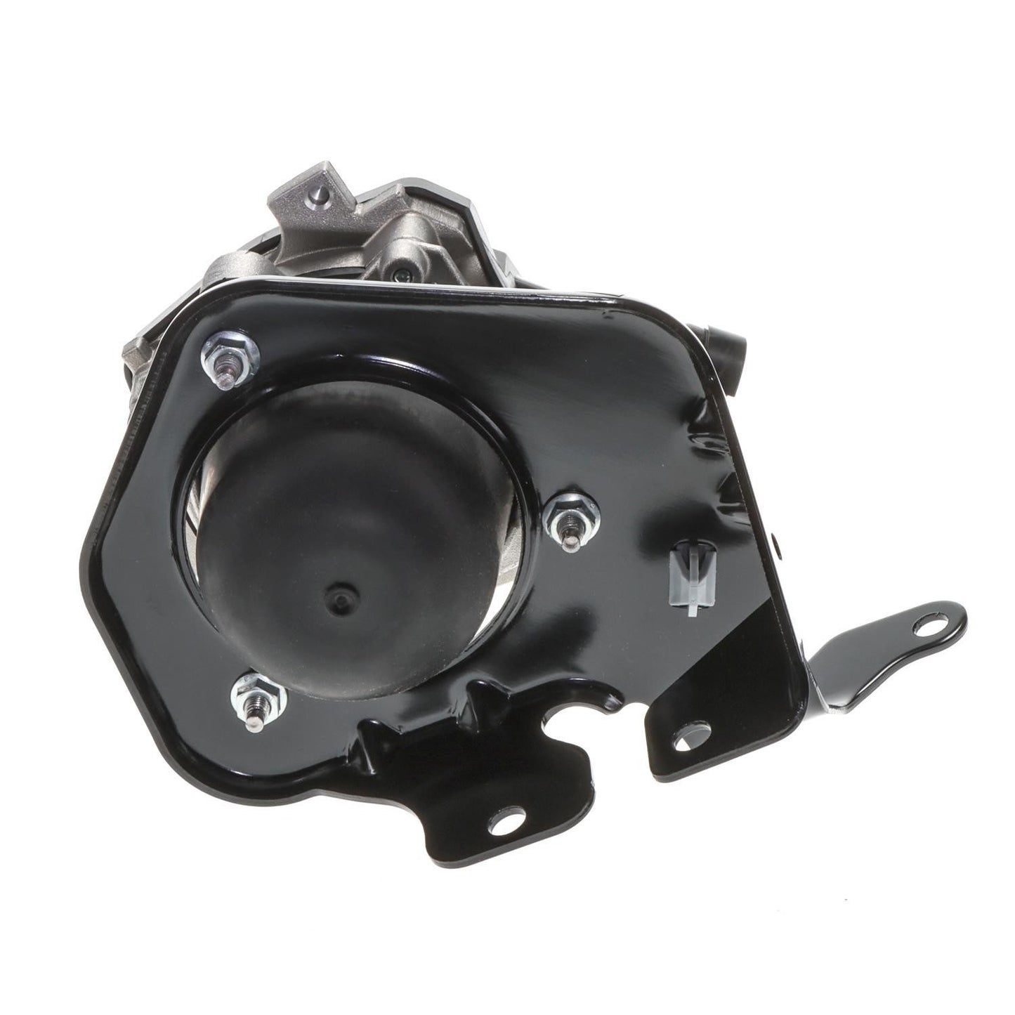 Standard Ignition Secondary Air Injection Pump AIP51