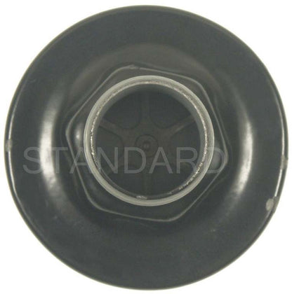 Standard Ignition Secondary Air Injection Pump Check Valve AV56