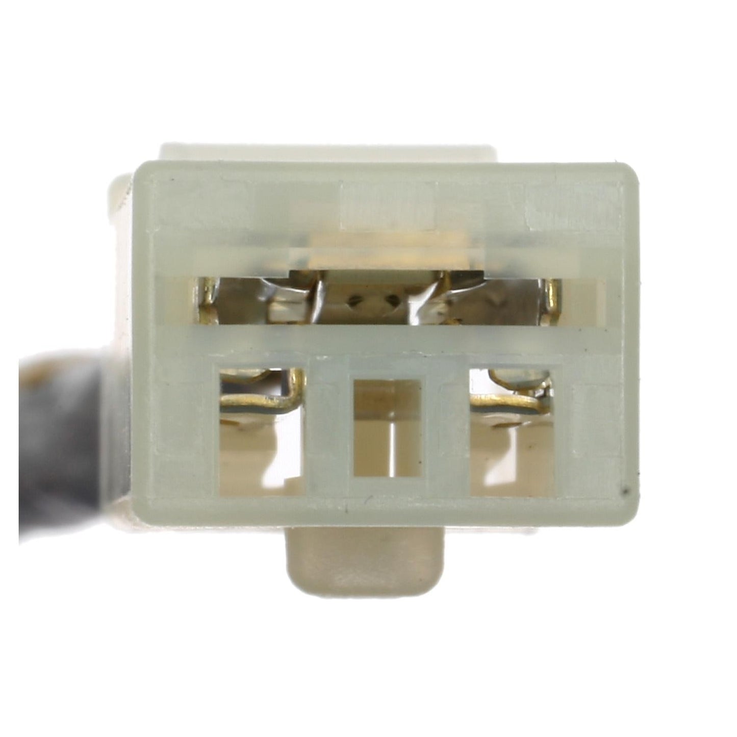 Intermotor Cruise Control Switch CCA1008