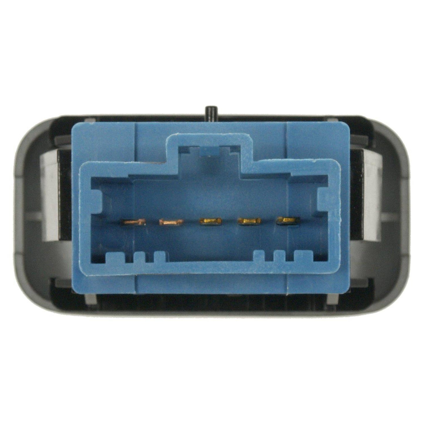 Intermotor Cruise Control Switch CCA1075