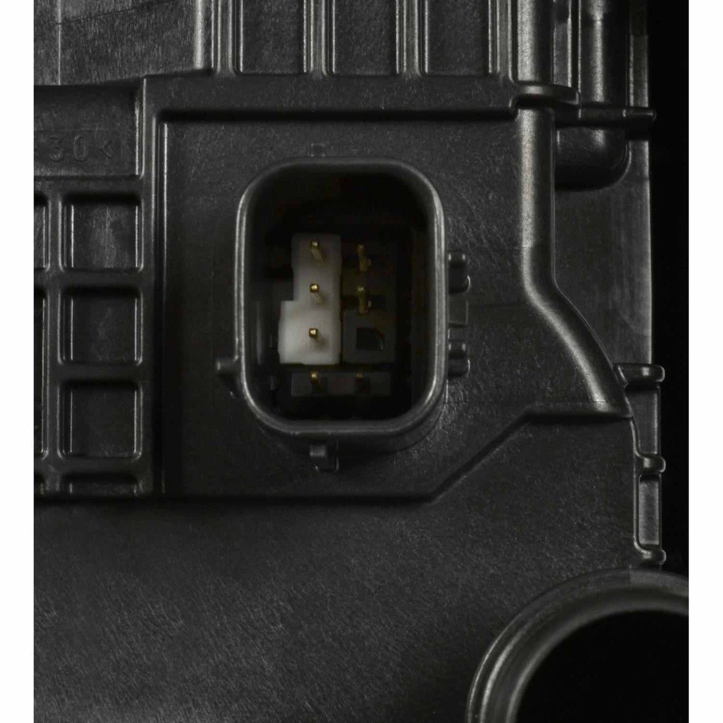 Intermotor Vapor Canister CP3466