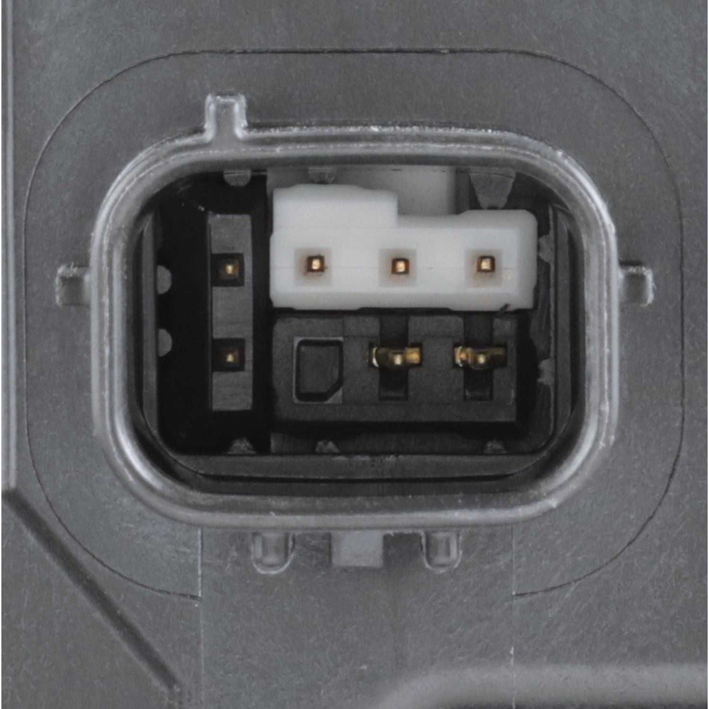 Intermotor Vapor Canister CP3700