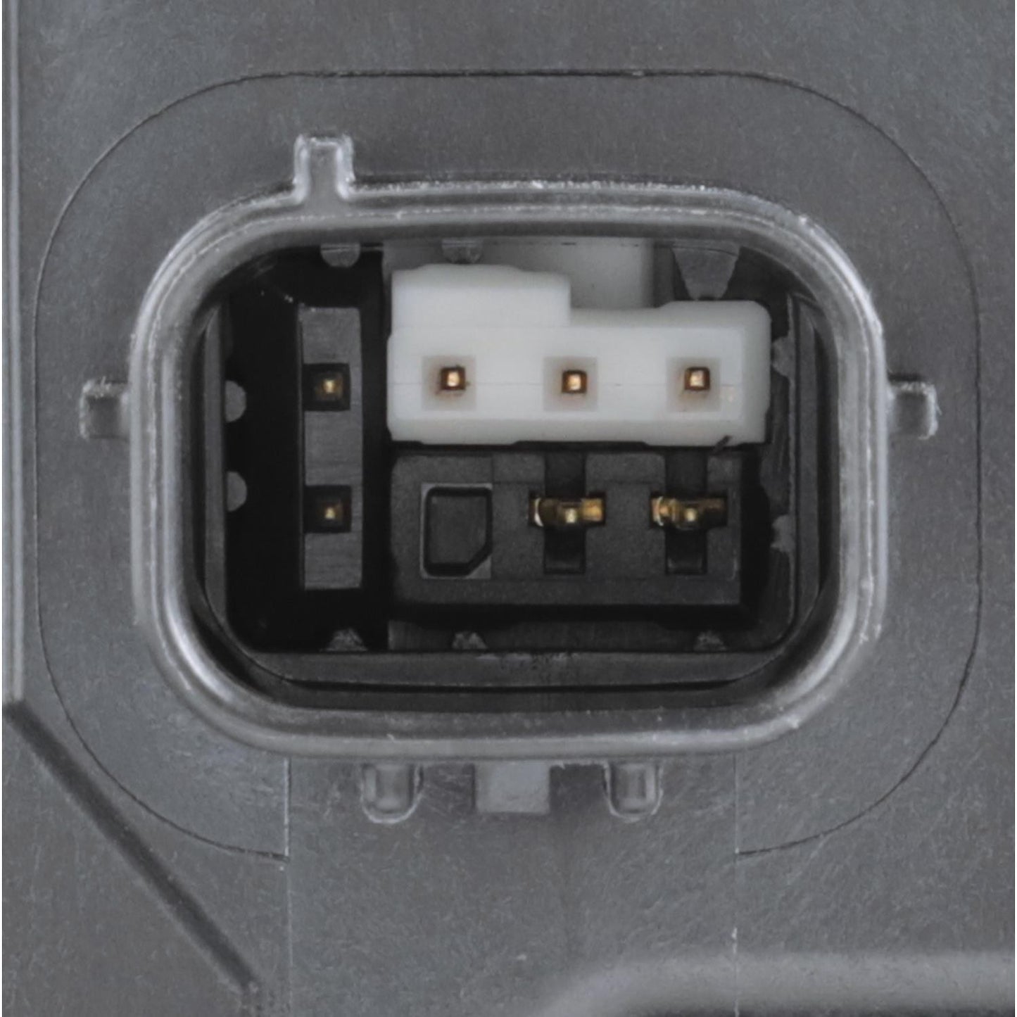 Intermotor Vapor Canister CP3700
