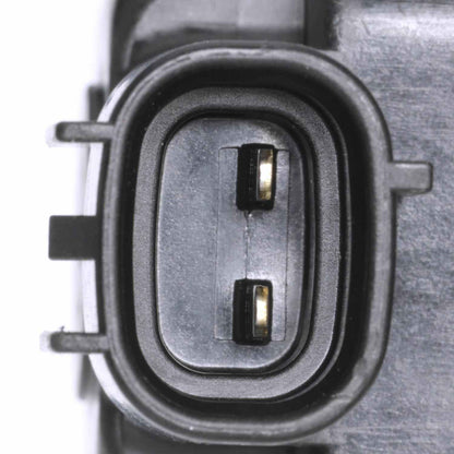 Intermotor Vapor Canister Purge Valve CP774