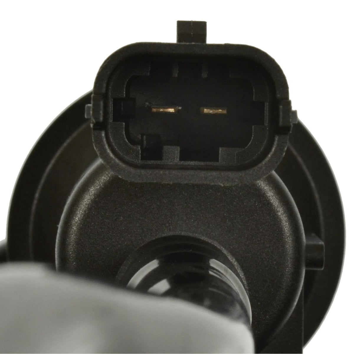 Intermotor Vapor Canister CP824