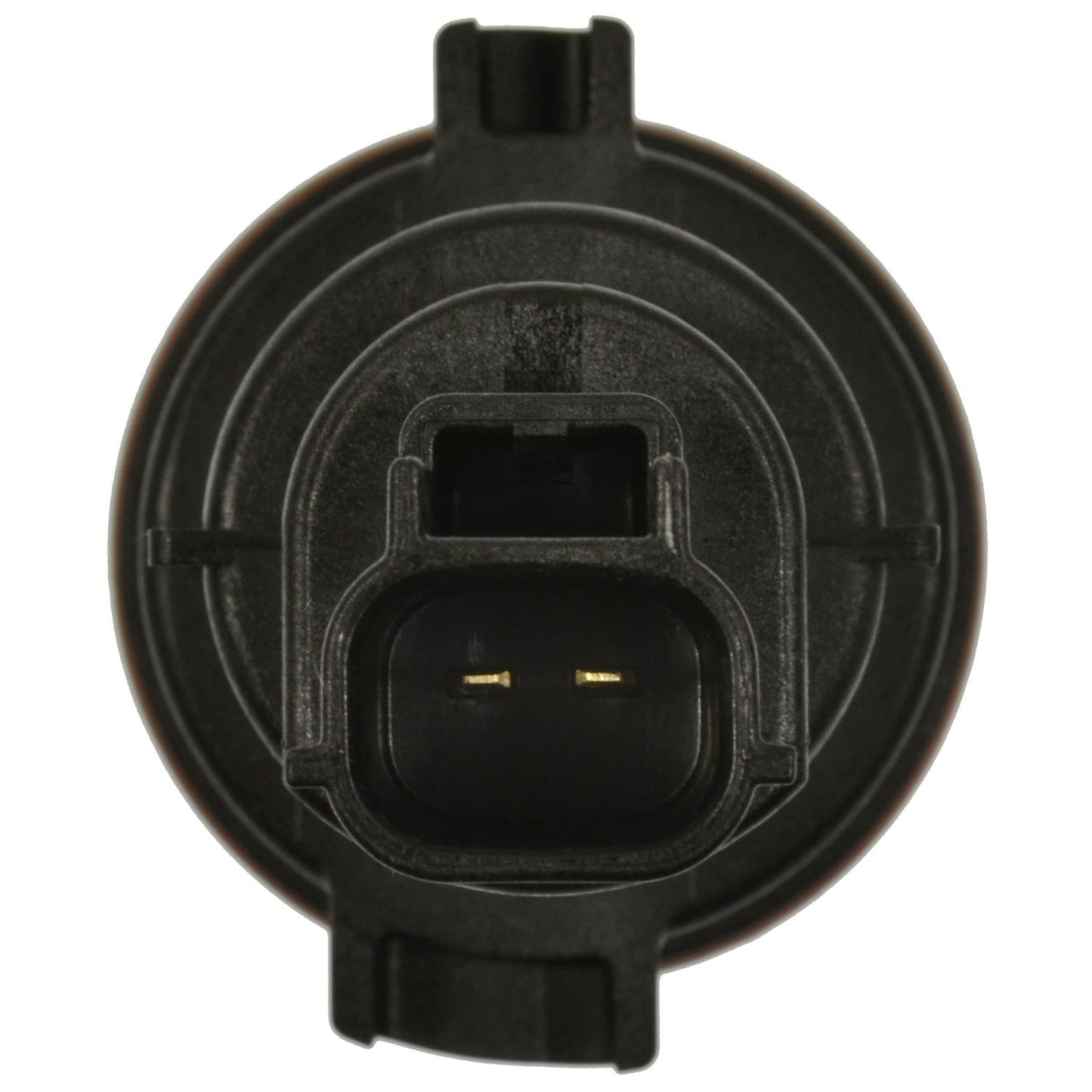 Standard Ignition Vapor Canister Vent Solenoid CVS160 image 3