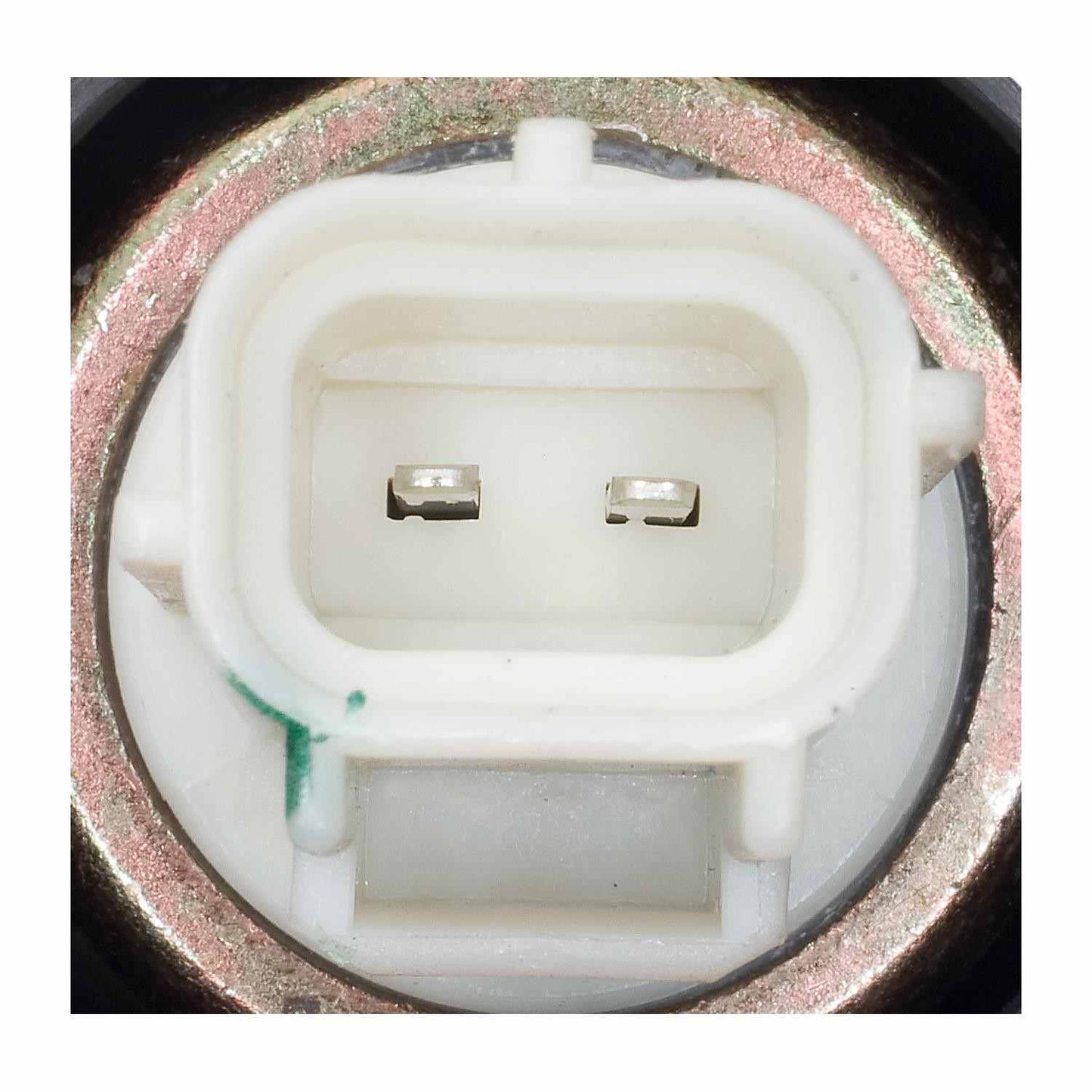 Standard Ignition Vapor Canister Vent Solenoid CVS50