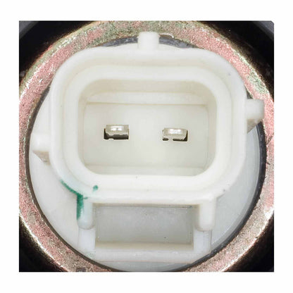 Standard Ignition Vapor Canister Vent Solenoid CVS50