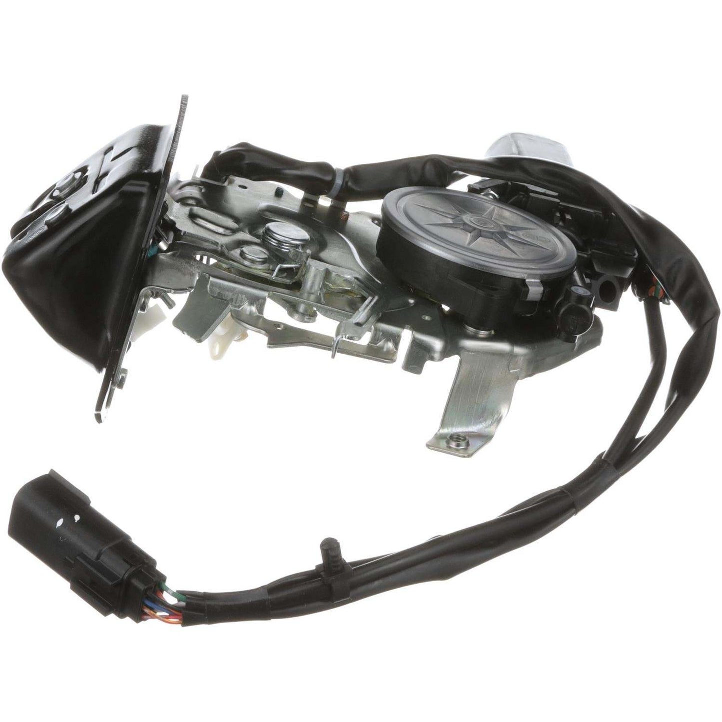 Standard Ignition Tailgate Latch Assembly DLA1454