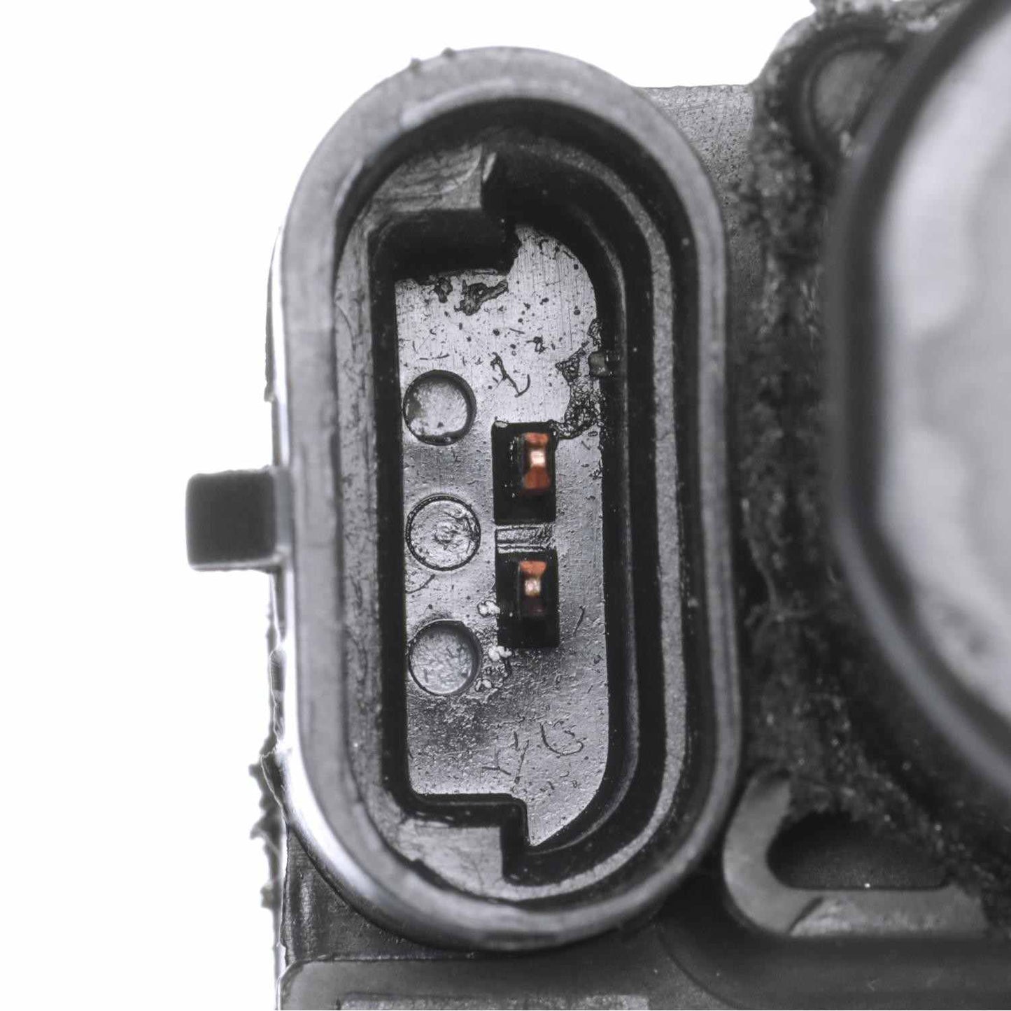 Standard Ignition Tailgate Latch Assembly DLA1561