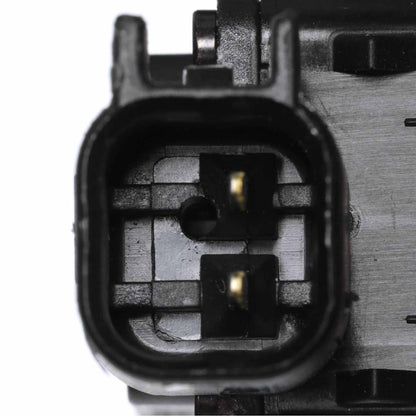 Standard Ignition Liftgate Release Switch DS-1502
