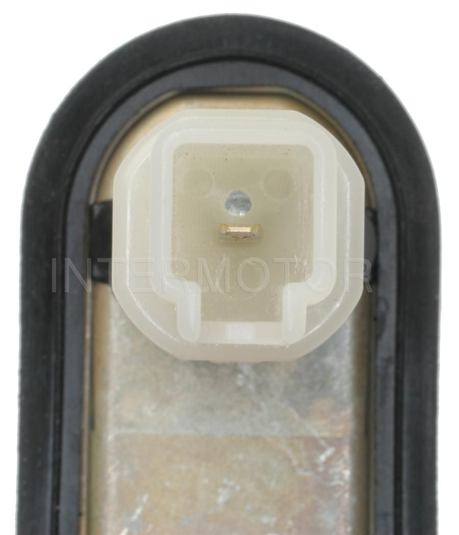 Intermotor Door Jamb Switch DS-1599