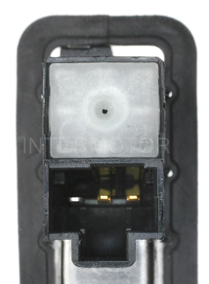 Intermotor Door Jamb Switch DS-1608