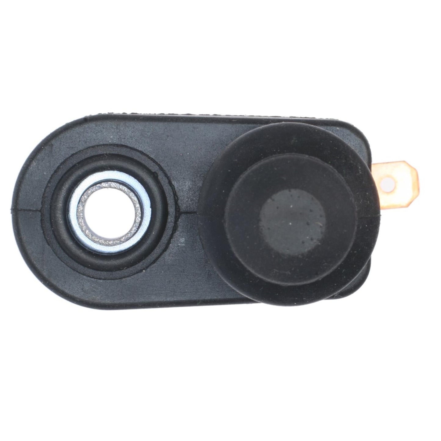 Intermotor Door Jamb Switch DS-1630