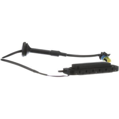 Standard Ignition Liftgate Release Switch DS-2178