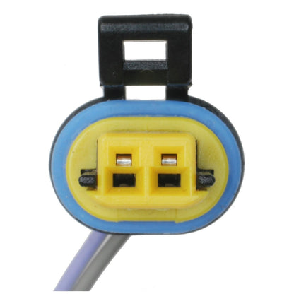 Standard Ignition Liftgate Release Switch DS-2178