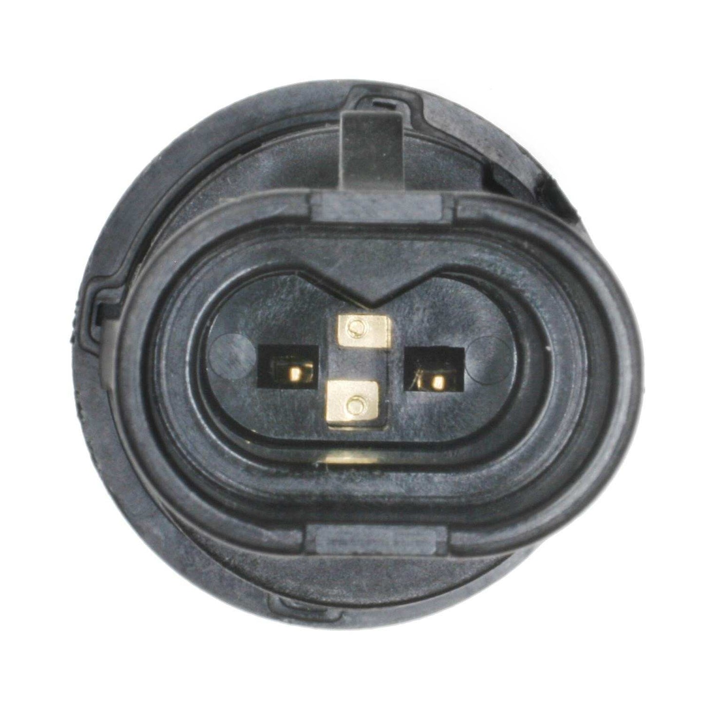Standard Ignition Trunk Lid Release Switch DS-2188