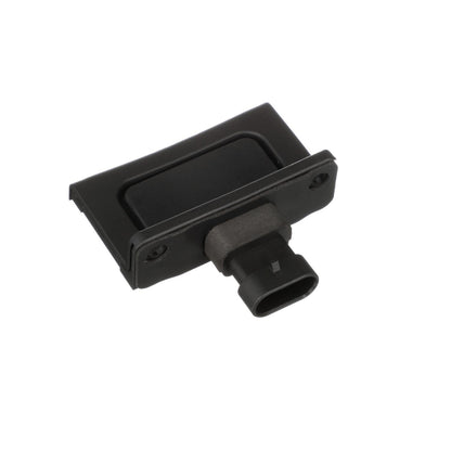 Standard Ignition Liftgate Release Switch DS-2189