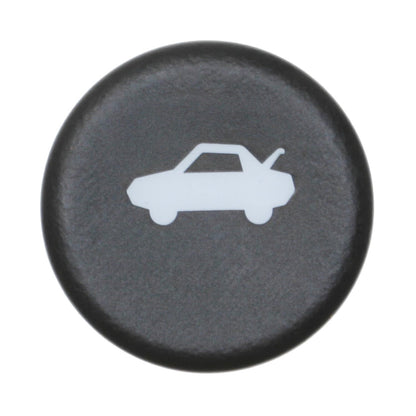 Standard Ignition Trunk Lid Release Switch DS-2192