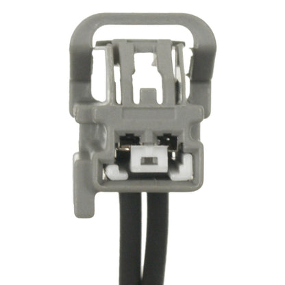 Standard Ignition Liftgate Release Switch DS-2413