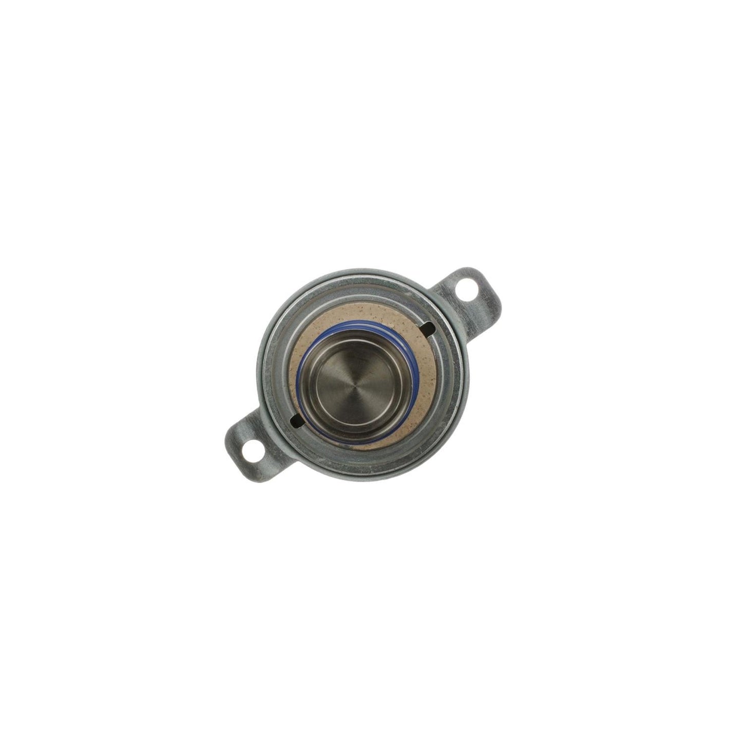 Standard Ignition Exhaust Gas Recirculation (EGR) Valve EGV1031